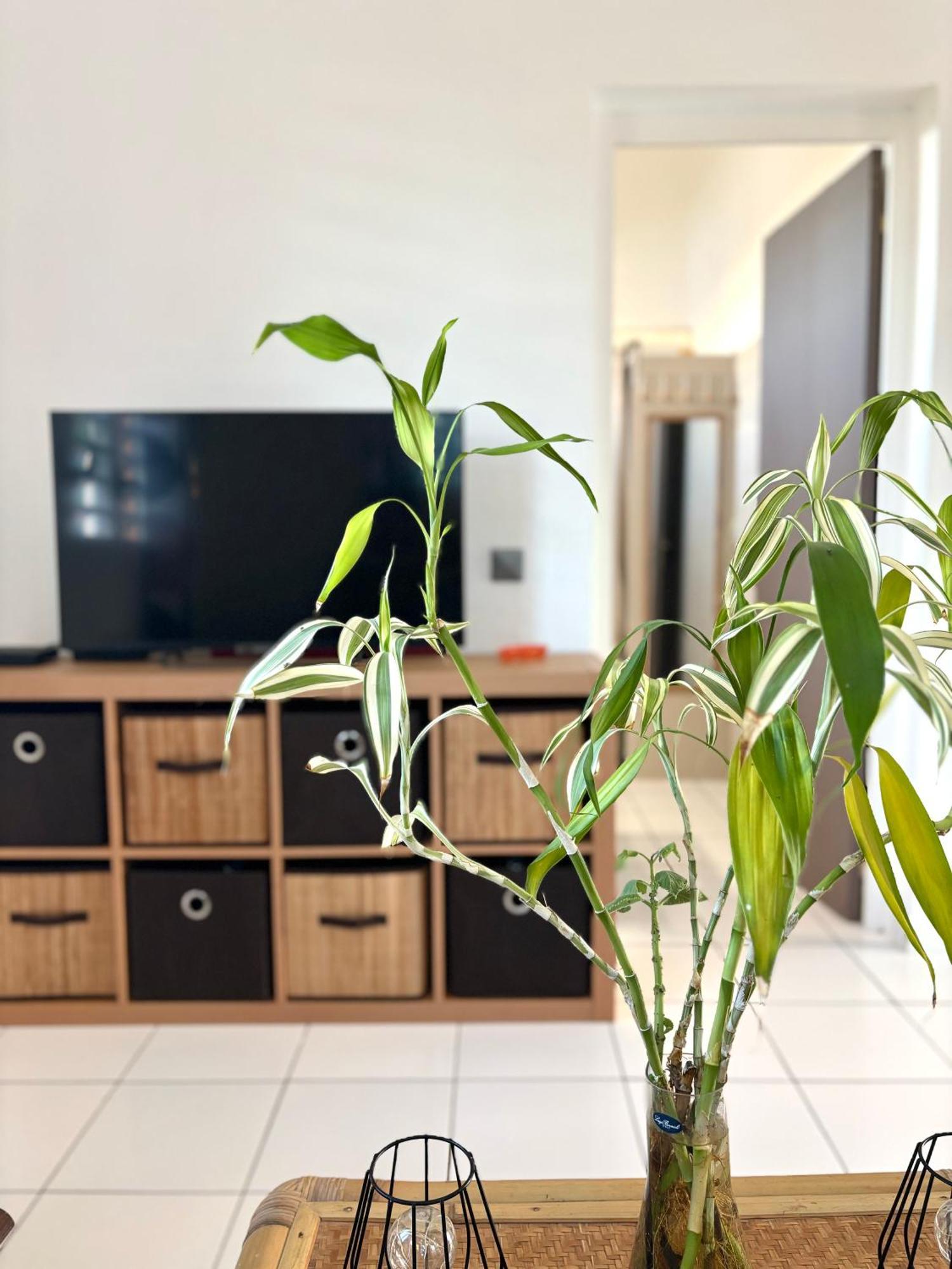 Le Gite Ohana - Proches Des Plages Et Jardin Prive Saint-Francois  Esterno foto